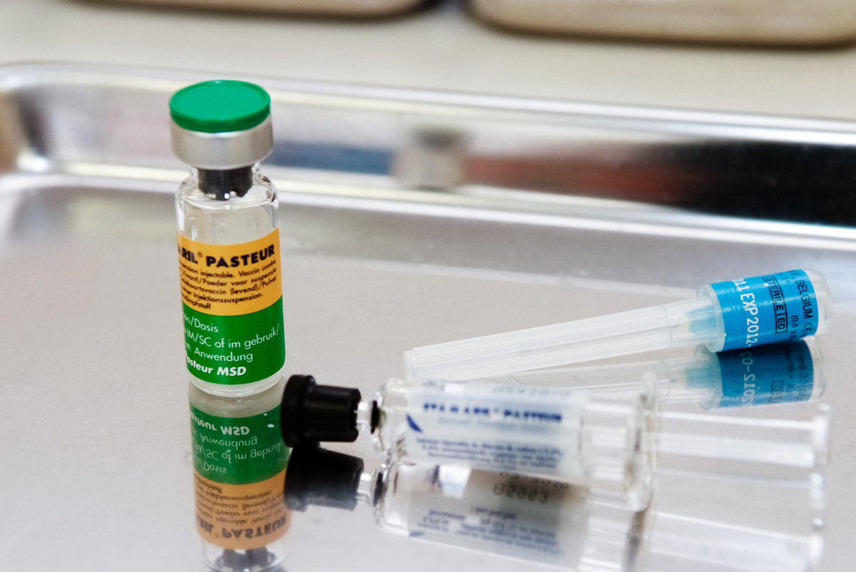 U.S. Supply Of Yellow Fever Vaccine Will Run Out By Midsummer : Shots ...