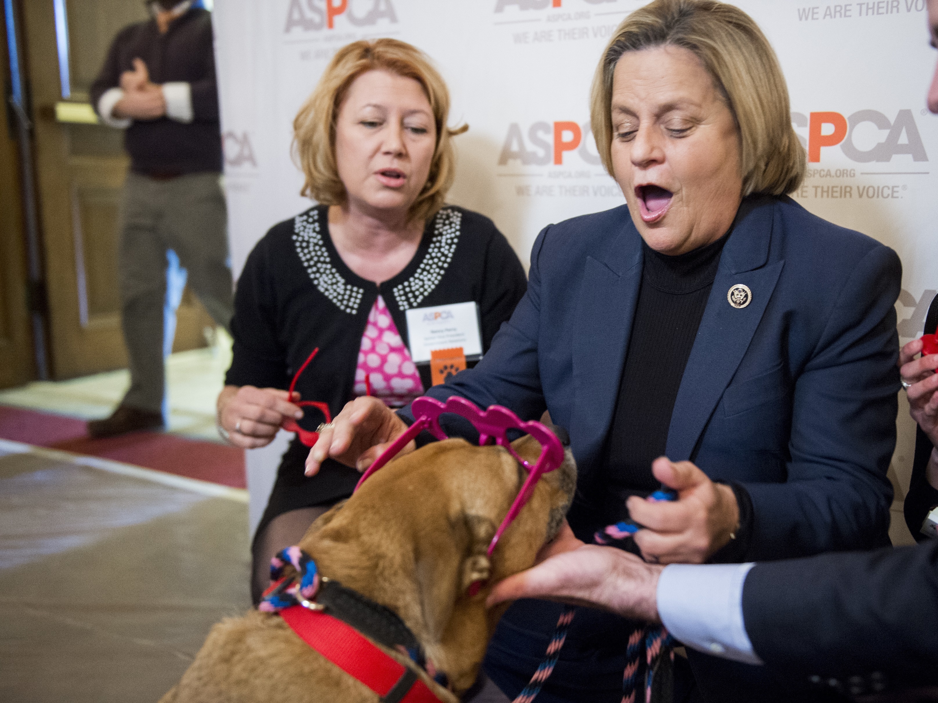 Rep. Ileana Ros-Lehtinen, pictured right, announced Sunday that she'll retire from Congress at the end of her term next year. In this 2016 photo, Ros-Lehtinen, puts heart glasses on a dog at the ASPCA's Paws for Love Valentine's Day pet adoption event at the Capitol. (CQ-Roll Call,Inc.)