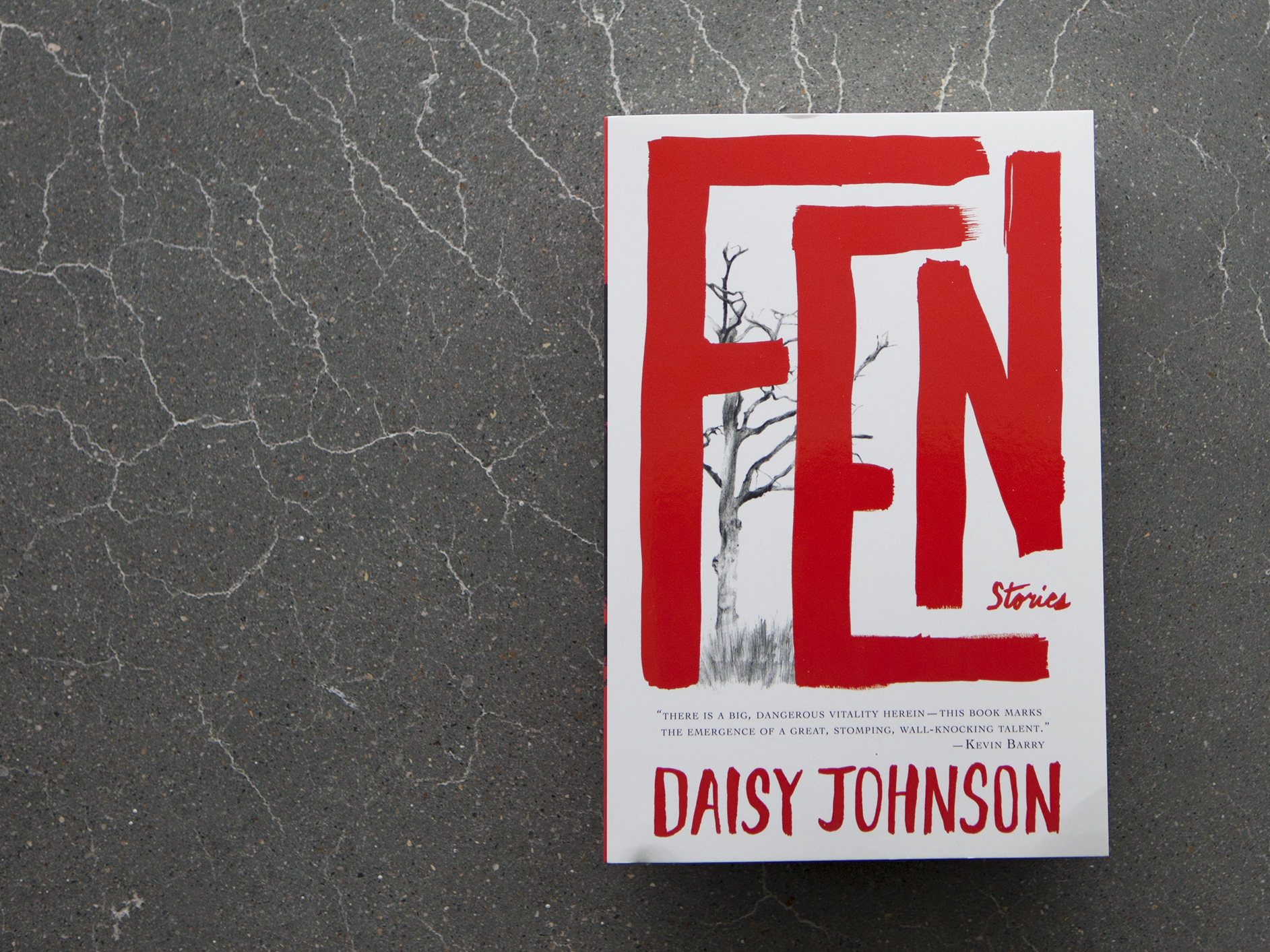 Eerie 'Fen' is full of dazzling, hard-to-explain stories