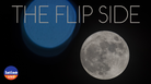 The Flip Side