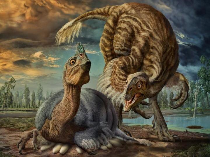 'Baby Dragon' Found In China Is The Newest Species Of Dinosaur