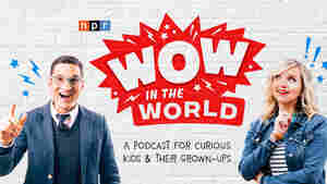 Wow In the World: A New NPR Podcast for Curious Kids and their Grown-Ups