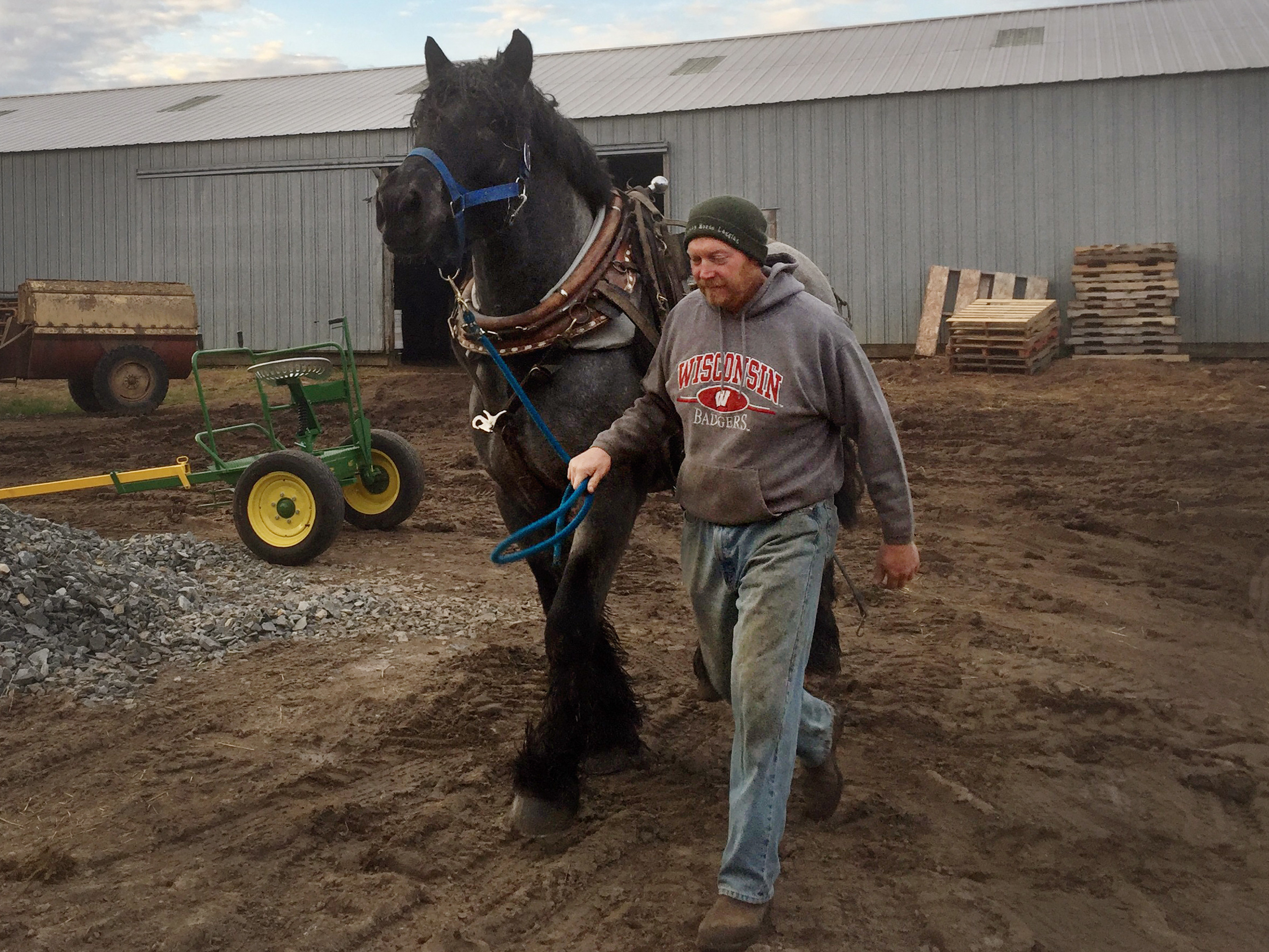 In Wisconsin, U.S. Cellular hired Jason Julian and his draft horses to help upgrade equipment on about 200 cell towers, some of which are served by hard-to-navigate access roads. (WUWM)