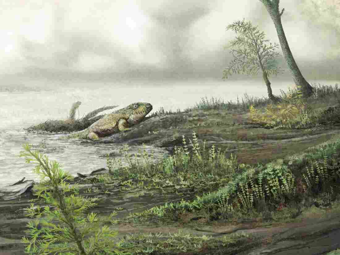 Antibiotic-resistant 'superbugs' evolved even before dinosaurs