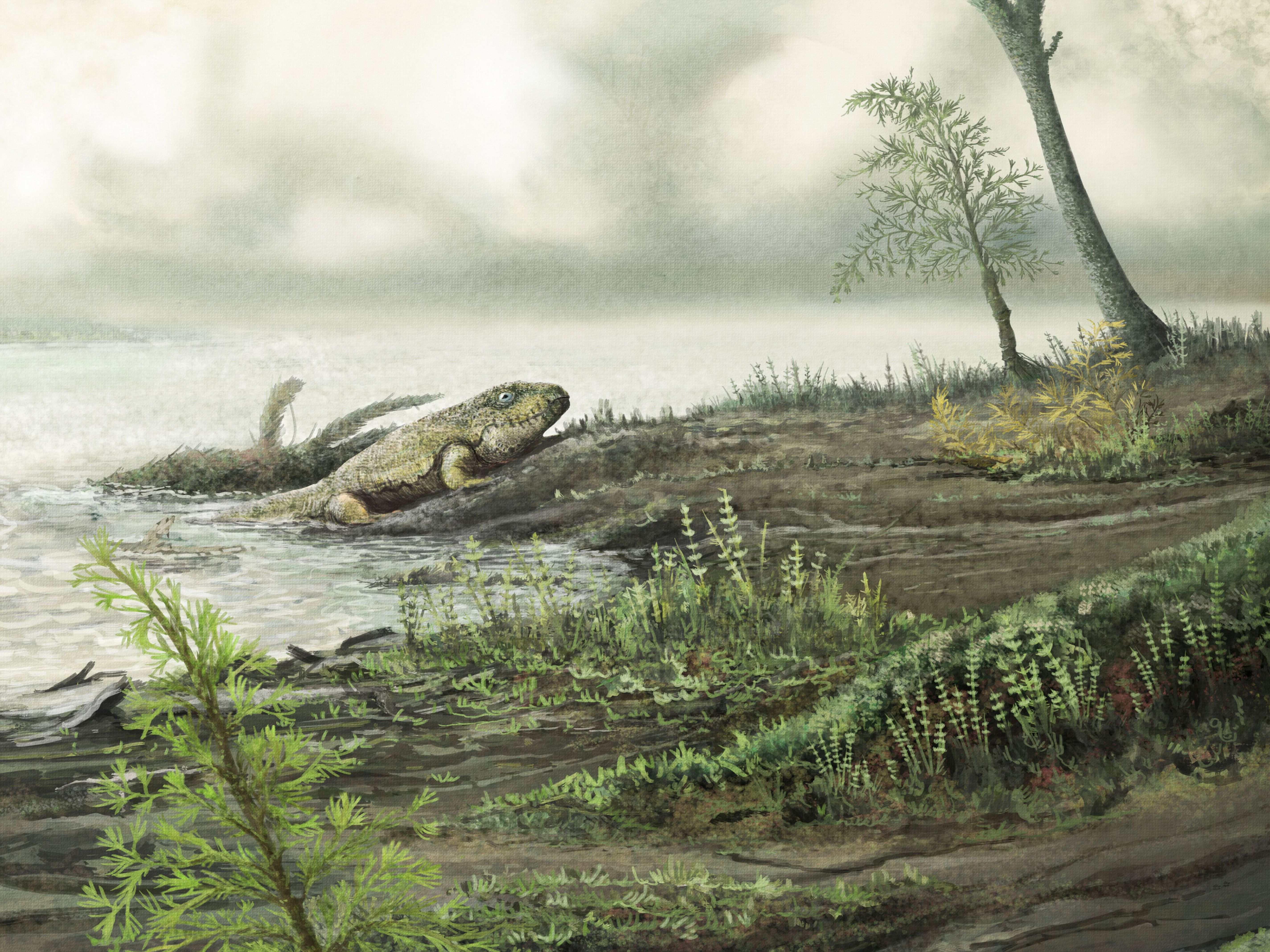 Superbugs 'crawled out' of the ocean 450 million years ago
