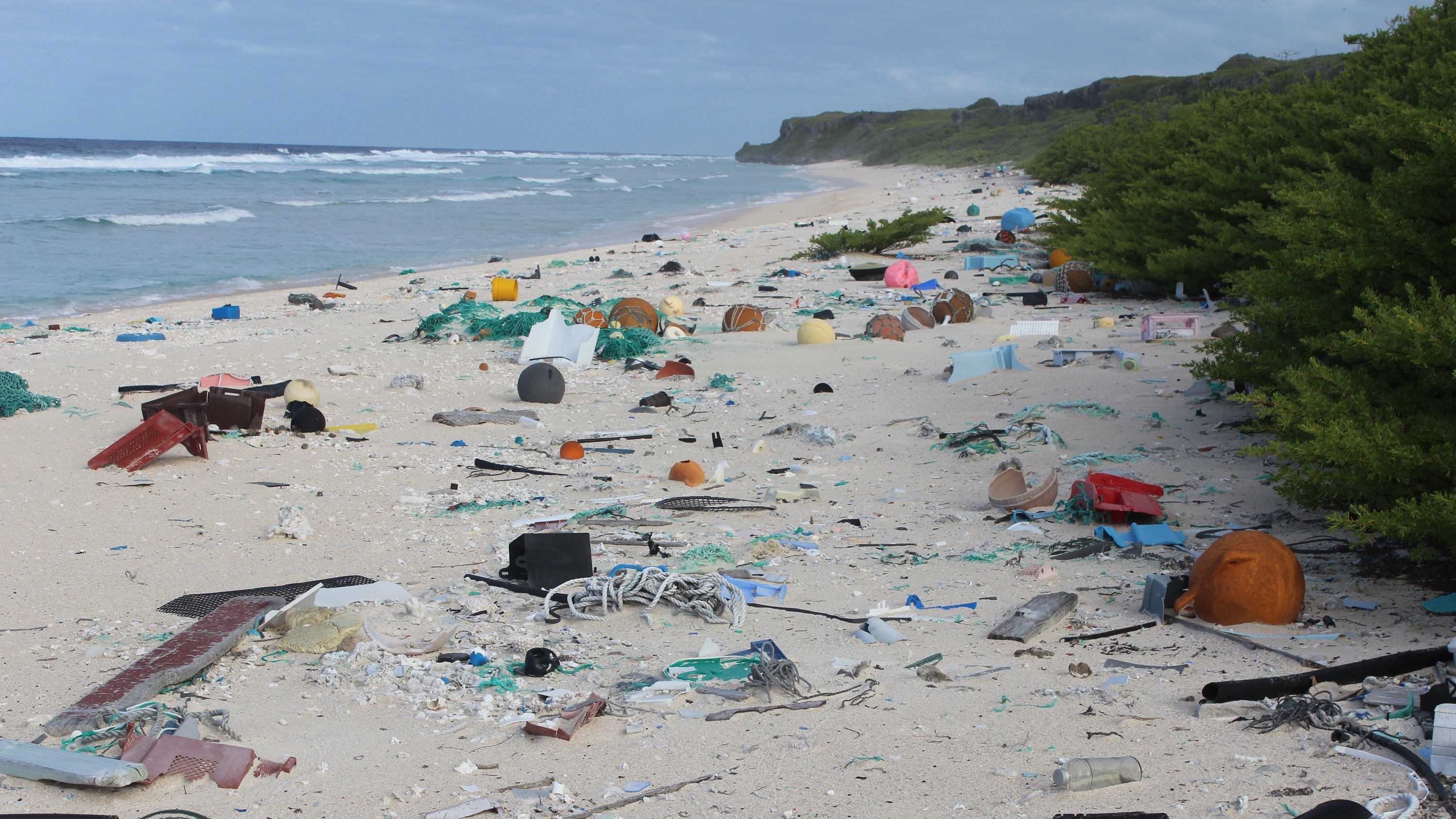 Henderson Island, in the South Pacific, is thousands of miles from any major industrial centers or human communities. But it's filled with trash — more than 37 million pieces of it, researchers say. (University of Tasmania)