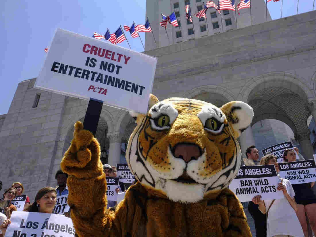 Ringling Brothers and Barnum and Bailey Circus close after 146 years