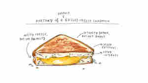 An Illustrated Guide To Master The Elements Of Cooking — Without Recipes