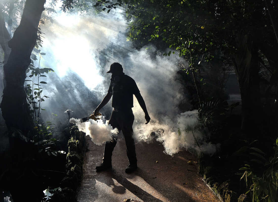 The Zika Virus Made Its Way To Miami Earlier Than Thought Shots
