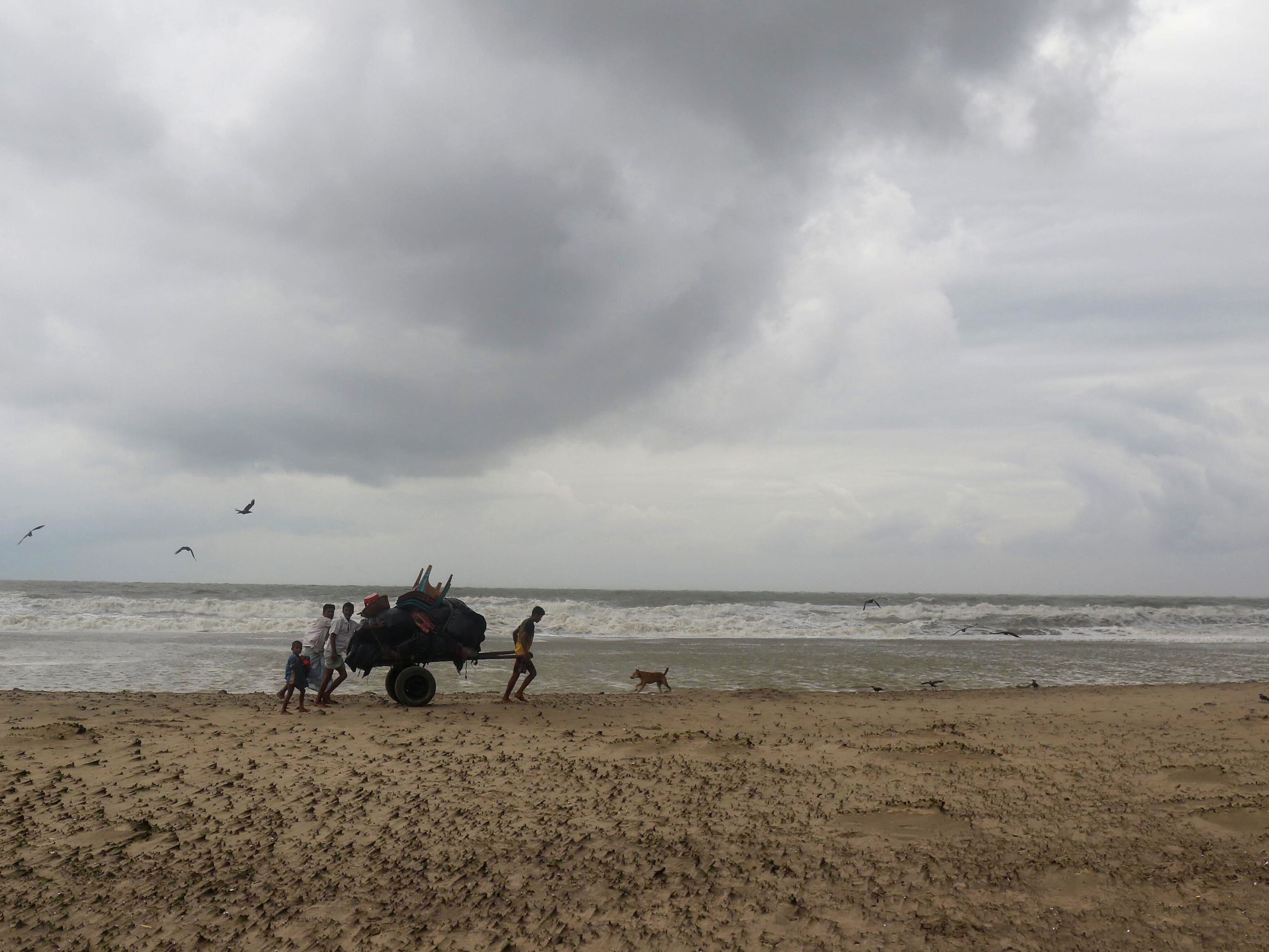 Cyclone Mora pounds Bangladesh coast, damage reported