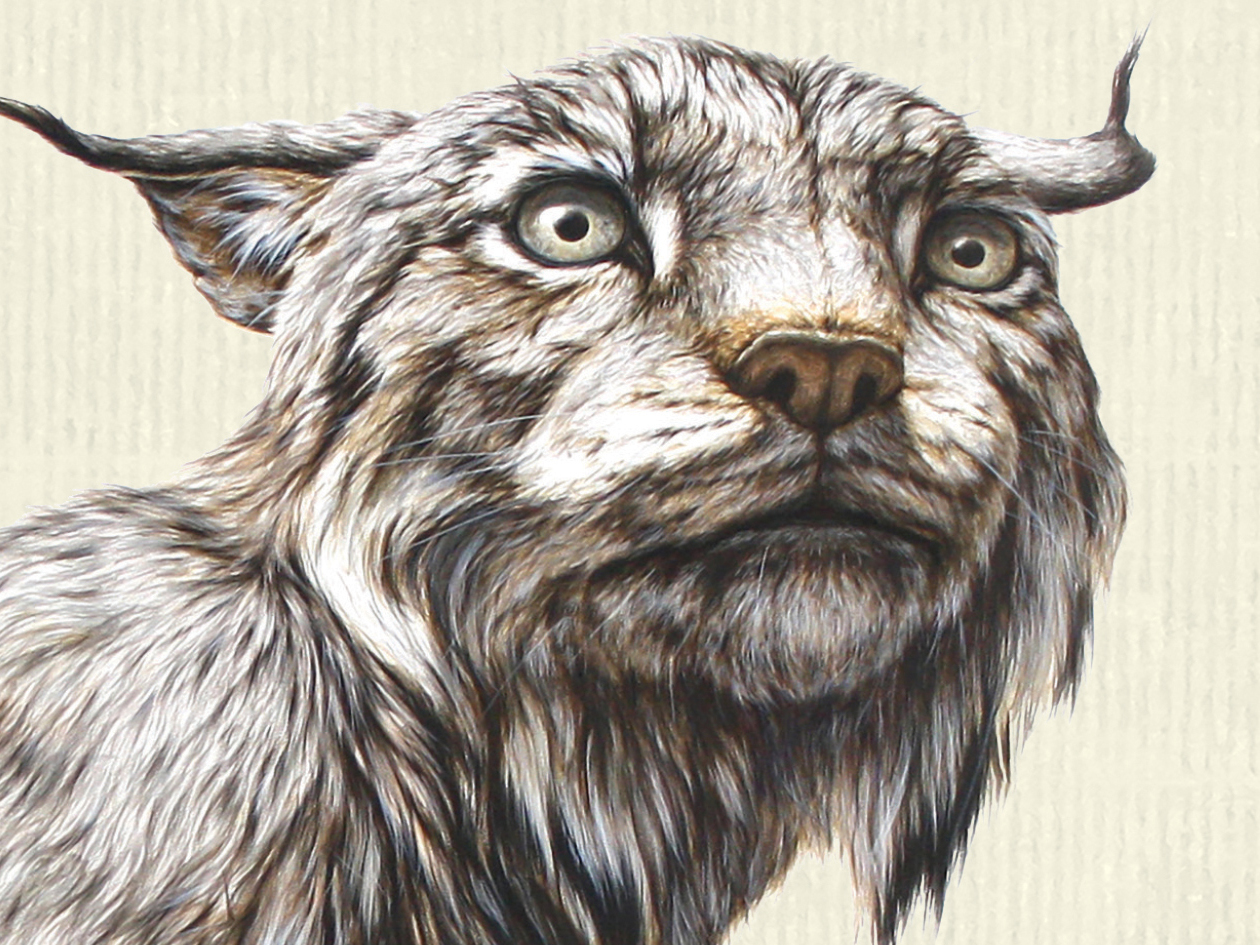 'Stephen Florida' goes to the mat -- and wins