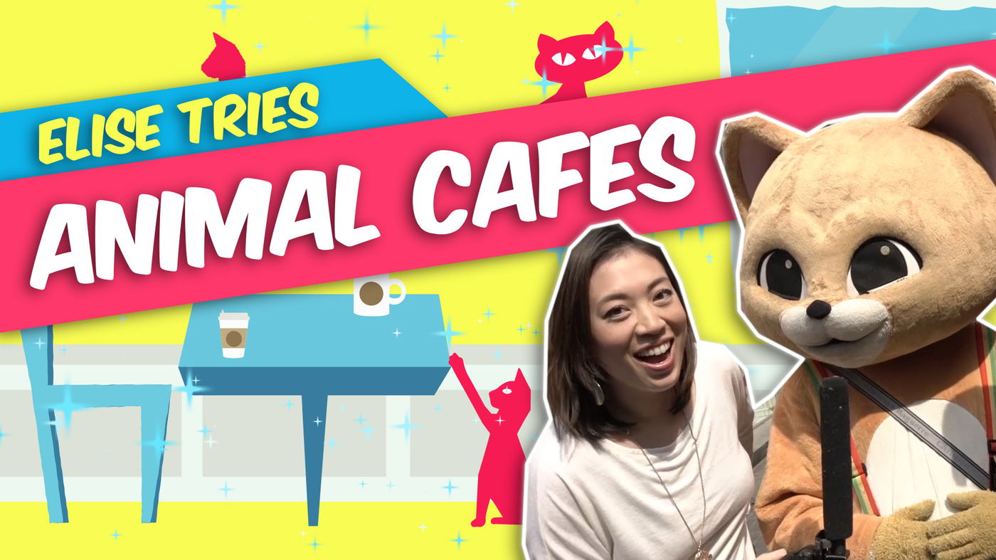 Video Animal Cafes Are Cool, But Does A Raccoon Cafe Go Too Far