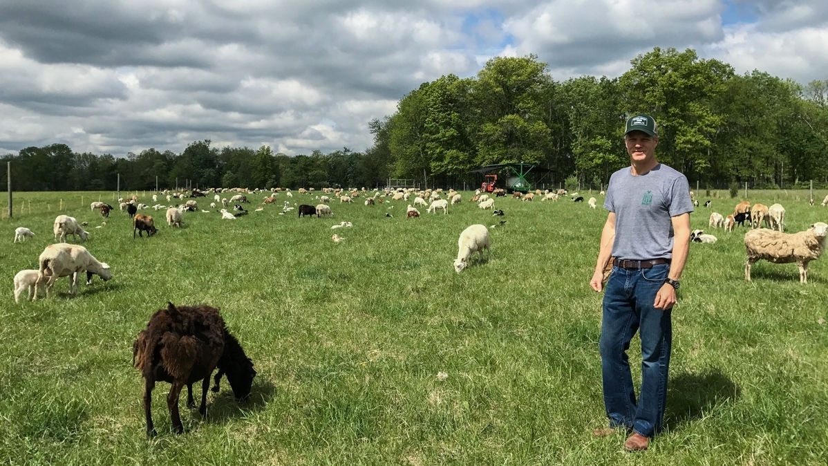 This Farmer Wants To Give Animals A Better Life — And Death : The Salt ...