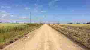 Episode 775: The Pigweed Killer