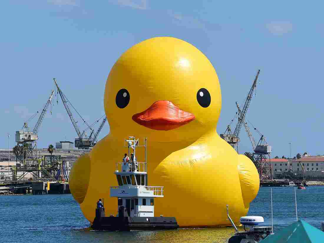Enormous Rubber Duck In Canada Is Counterfeit, Artist Alleges
