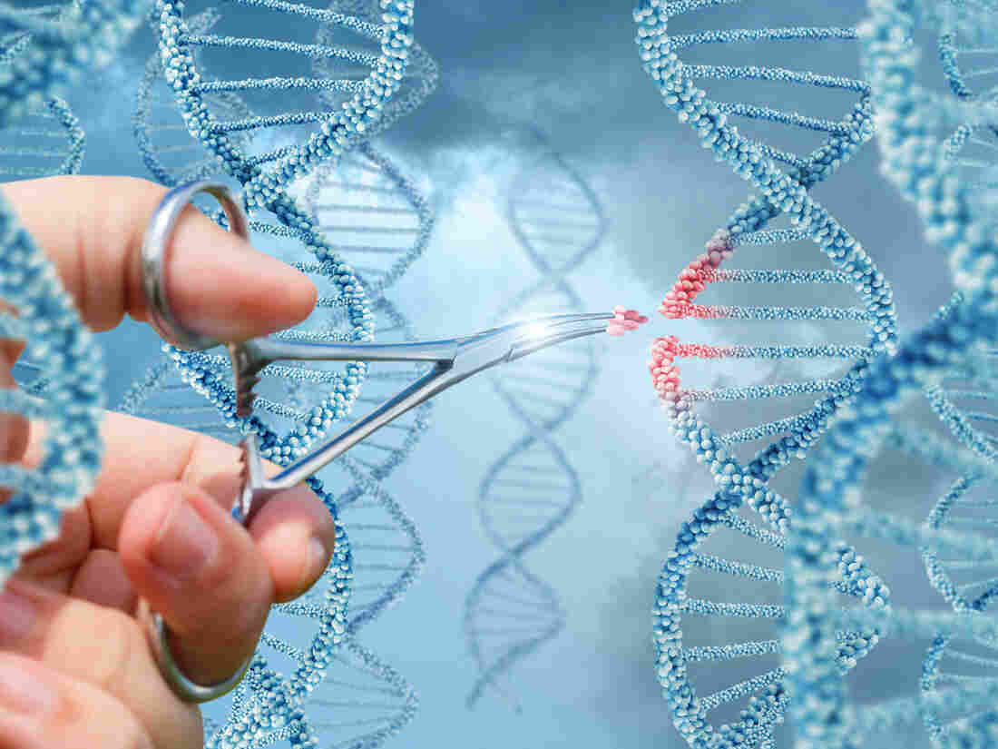 Inserting a molecule into a DNA concept design.