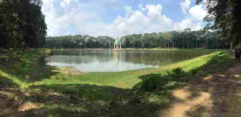 A pond in Vietnam that the random algorithm chose for Max Hawkins to visit.