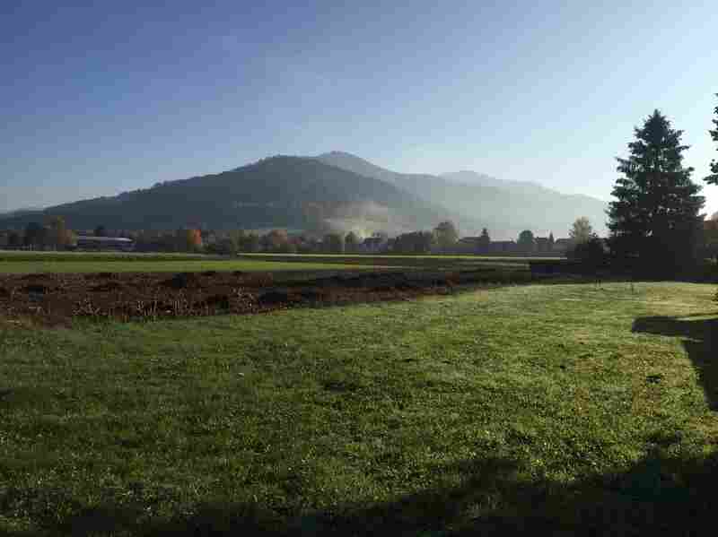Morning in south Germany, captured by Max during his randomized-living travels.