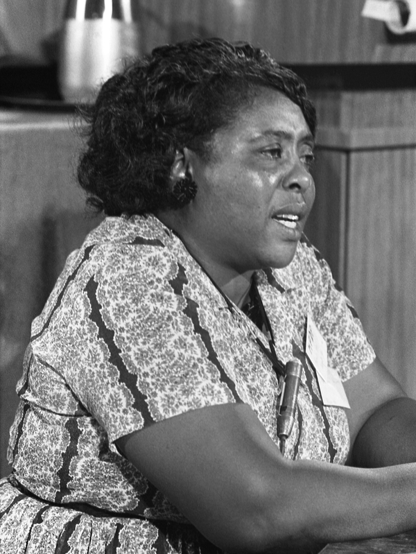 Fannie Lou Hamer, the famed voting rights activist from Mississippi, pictured here in 1964, also became what we would call a "food sovereignty" activist.