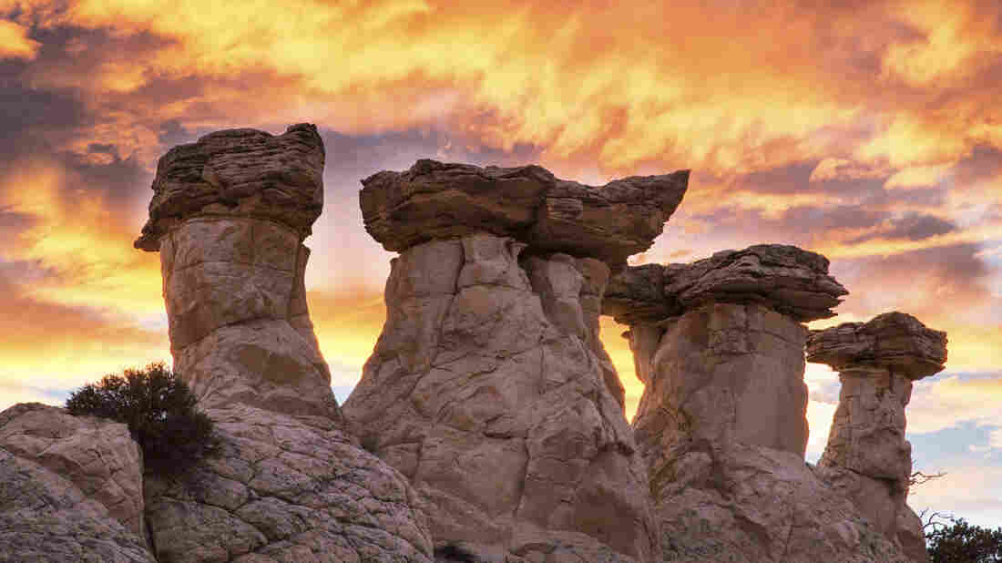 What Utah's Canyon Country Can Tell Us About Trump's Monuments Review