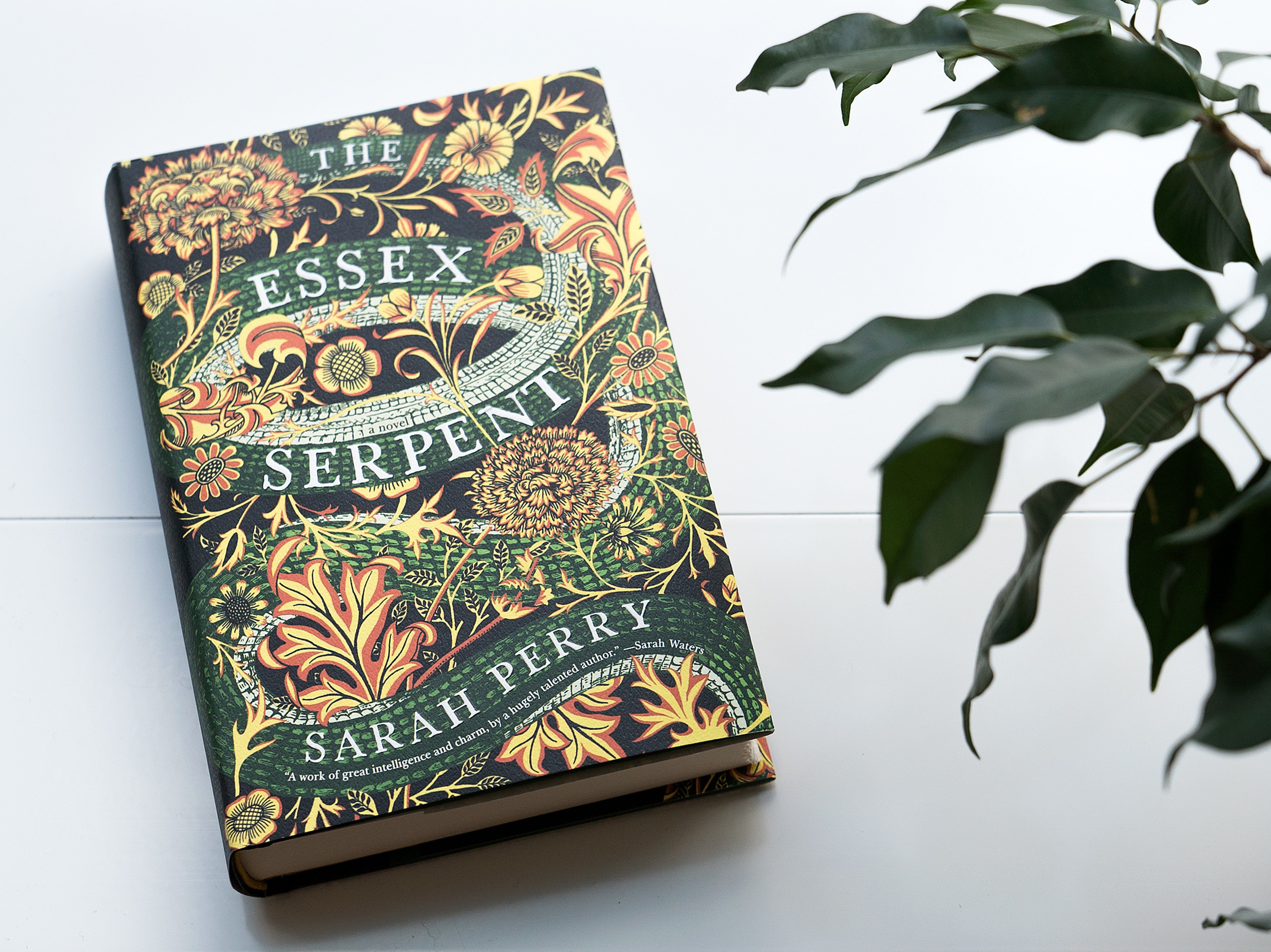 Book Review: 'The Essex Serpent,' By Sarah Perry : NPR