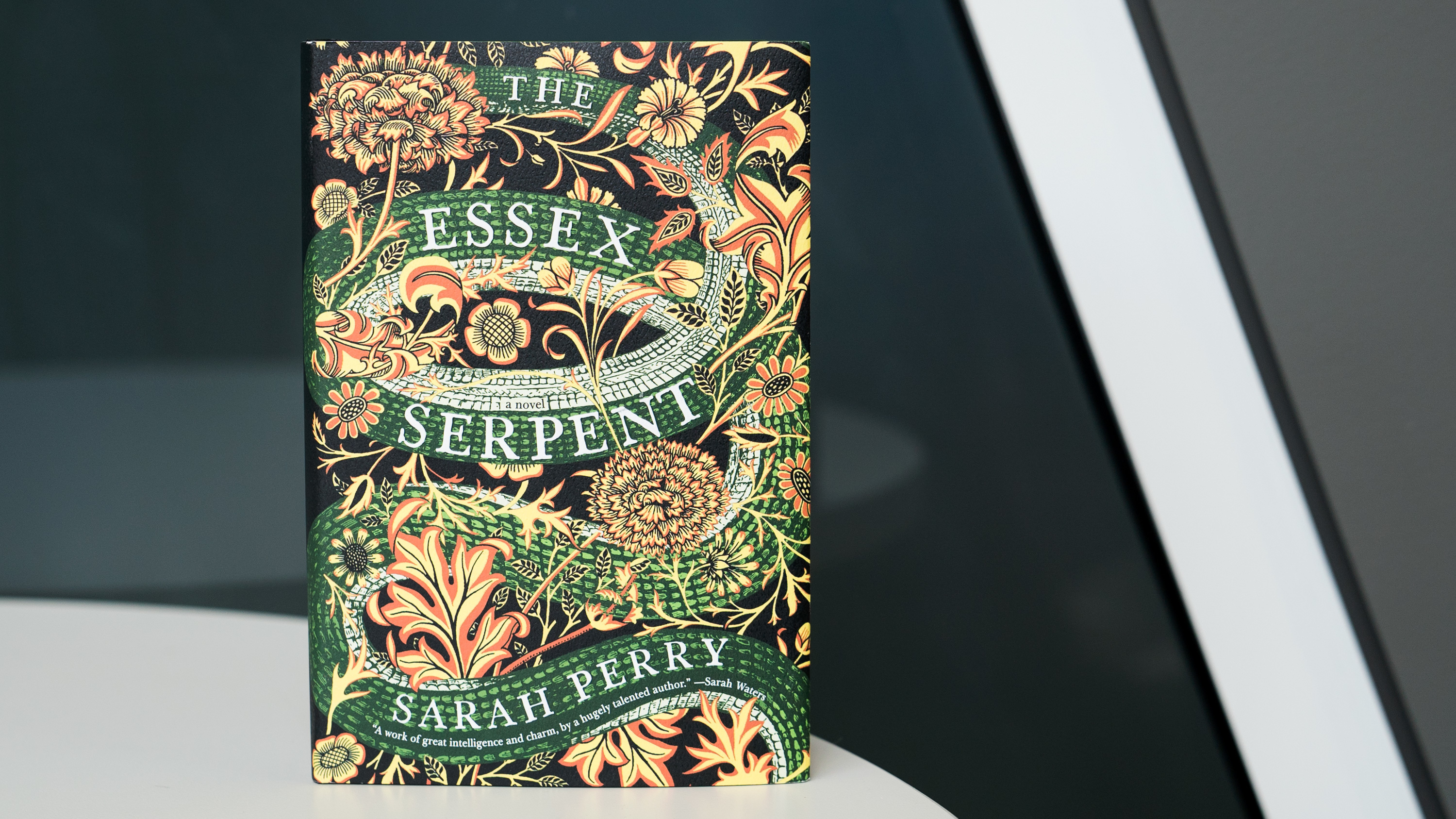 The Essex Serpent 洋書 英国ビクトリア時代の重厚な歴史小説 Amazon | The Essex Serpent | Perry, Sarah, McMahon, Juanita