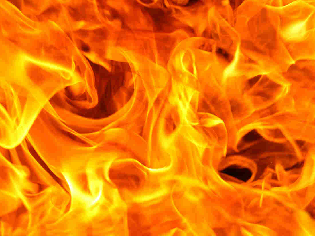 It's unclear when people started making fire, says Barbara King.