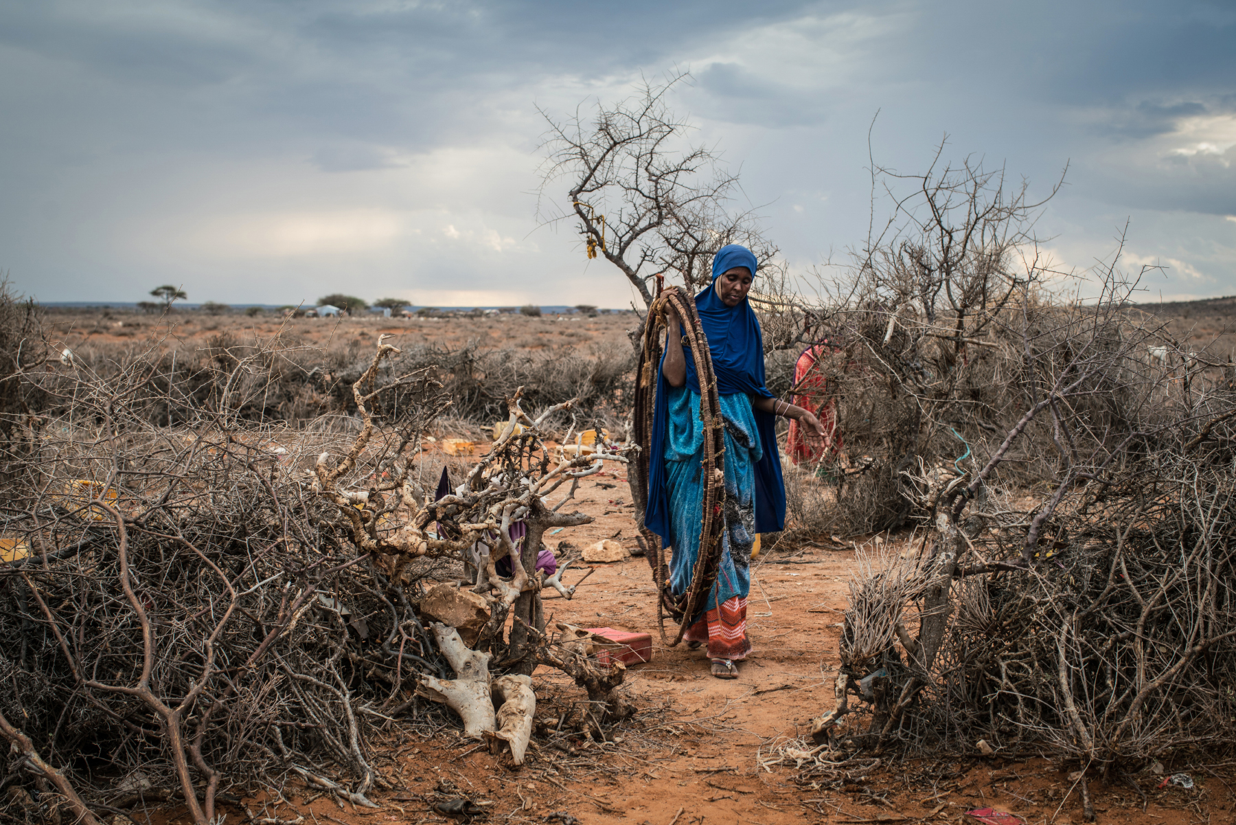 Dheg Mohamed dismantles her home on a plain outside Aynabo, Somaliland. She had to relocate after successive seasons without rain left her well dry. (Nichole Sobecki)