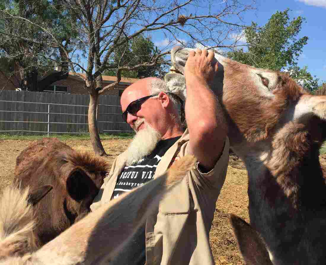 Amid Growing Threats, Donkey Rescuers Protect The Misunderstood Beasts Of Burden
