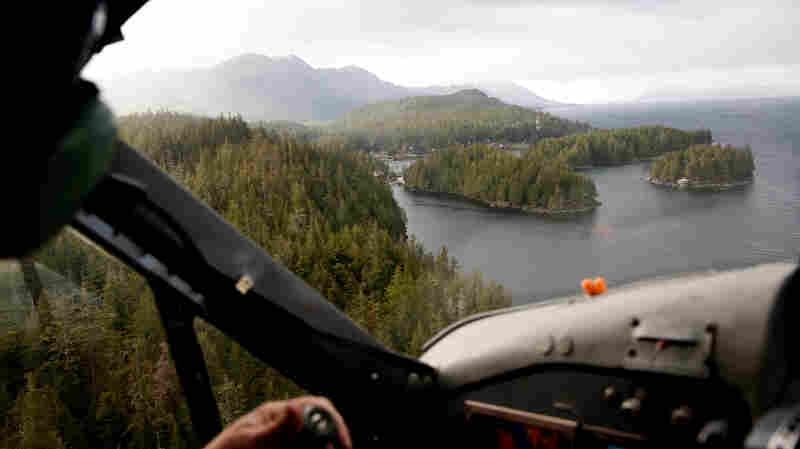 Meyers Chuck, AK, 99903