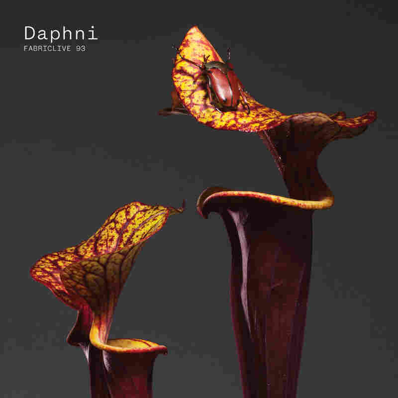 Daphni, Fabriclive 93.