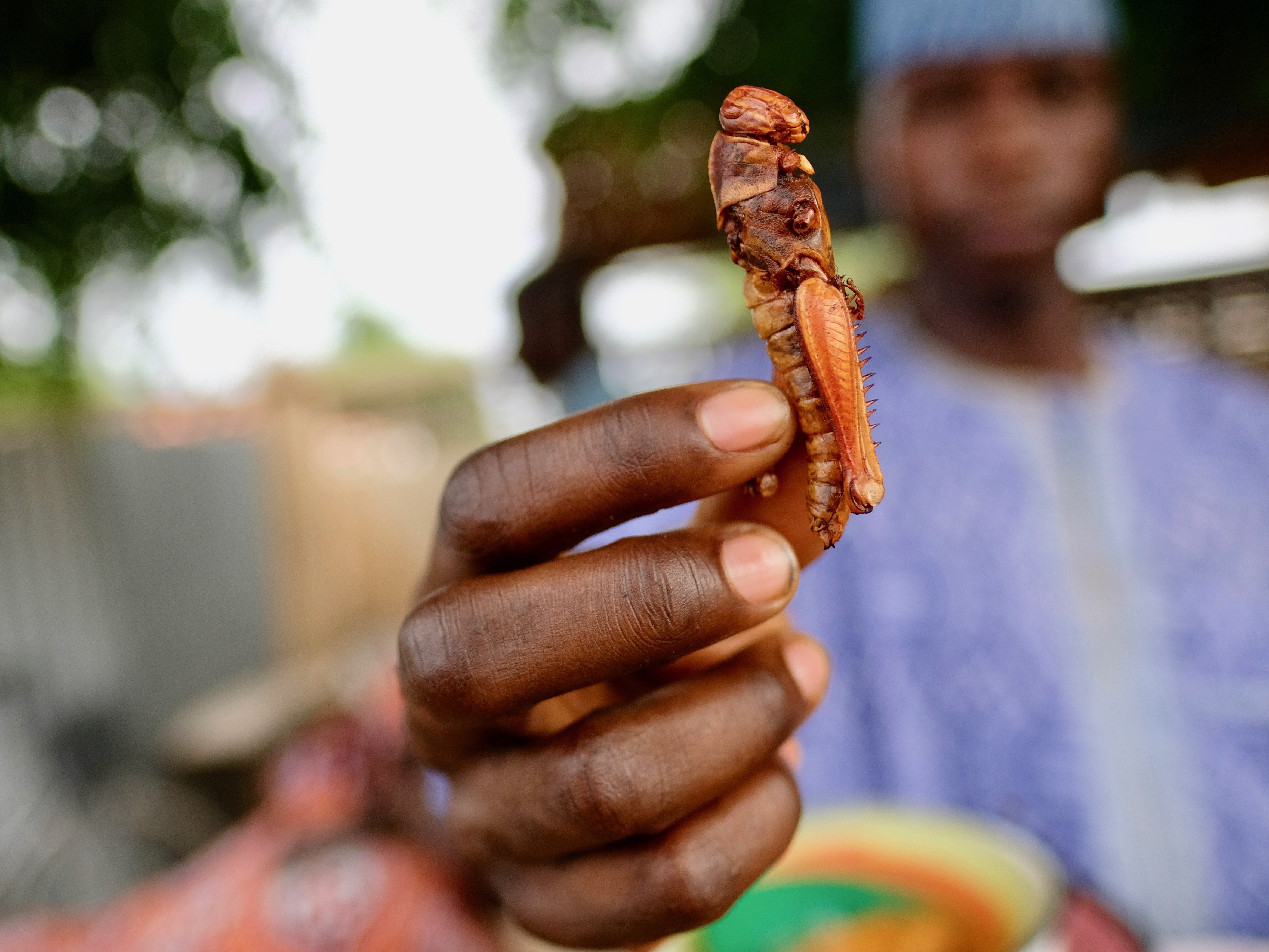 So What Does A DeepFried Taste Like? NCPR News