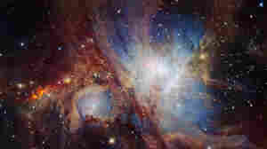 Is The Universe Conscious?