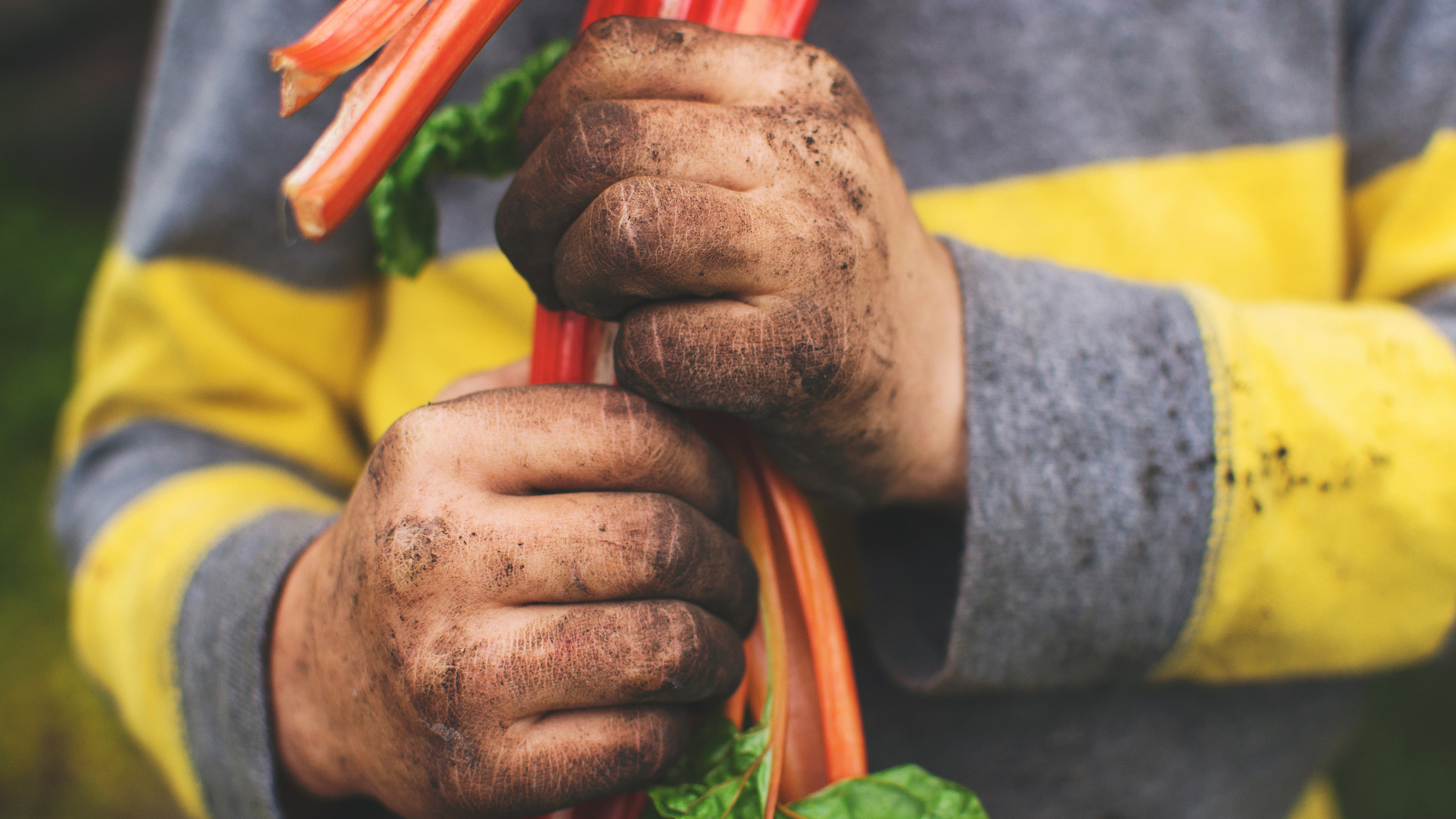 'Dirt Is Good': New Book Explores Why Kids Should Be Exposed To Germs