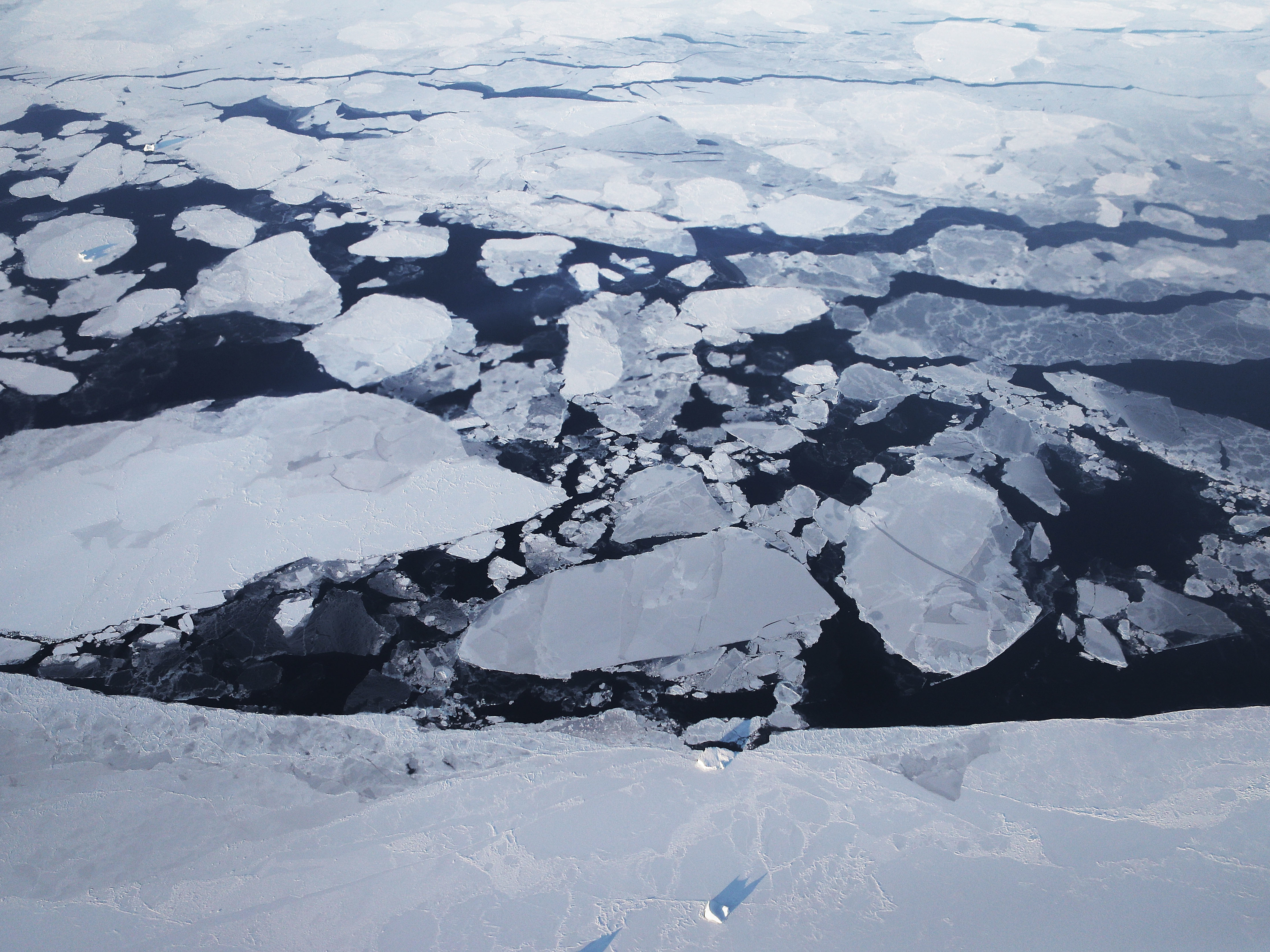 Arctic sea ice is seen from a NASA research aircraft on March 30, 2017, above Greenland. A top Interior Department scientist who tracks Arctic conditions says he was demoted by the Trump administration for speaking out on climate change. (Getty Images)