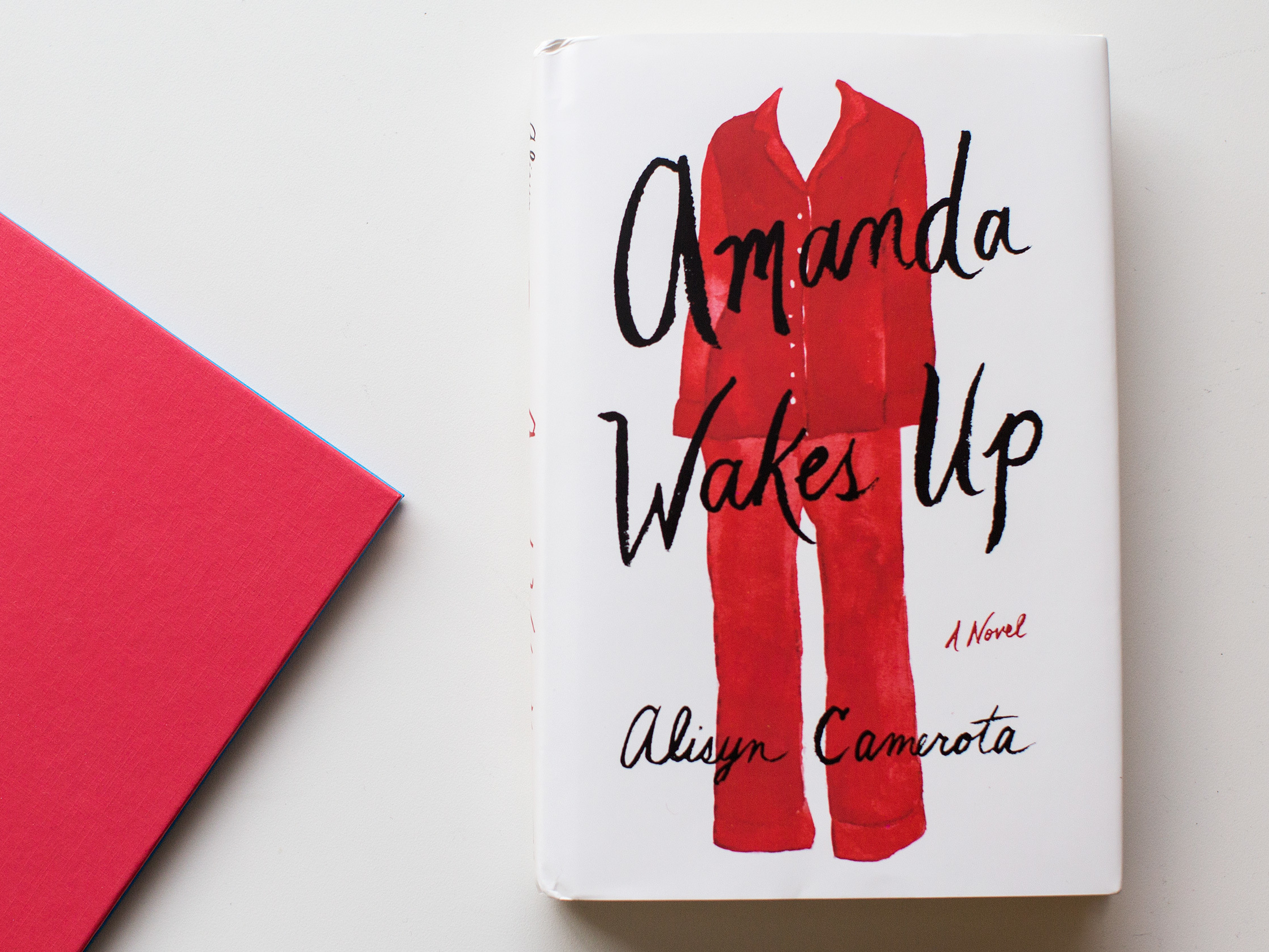A veteran TV news anchor pens a prescient novel in 'Amanda Wakes Up'