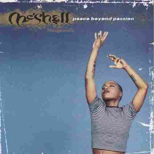 Peace Beyond Passion by Meshell Ndegeocello