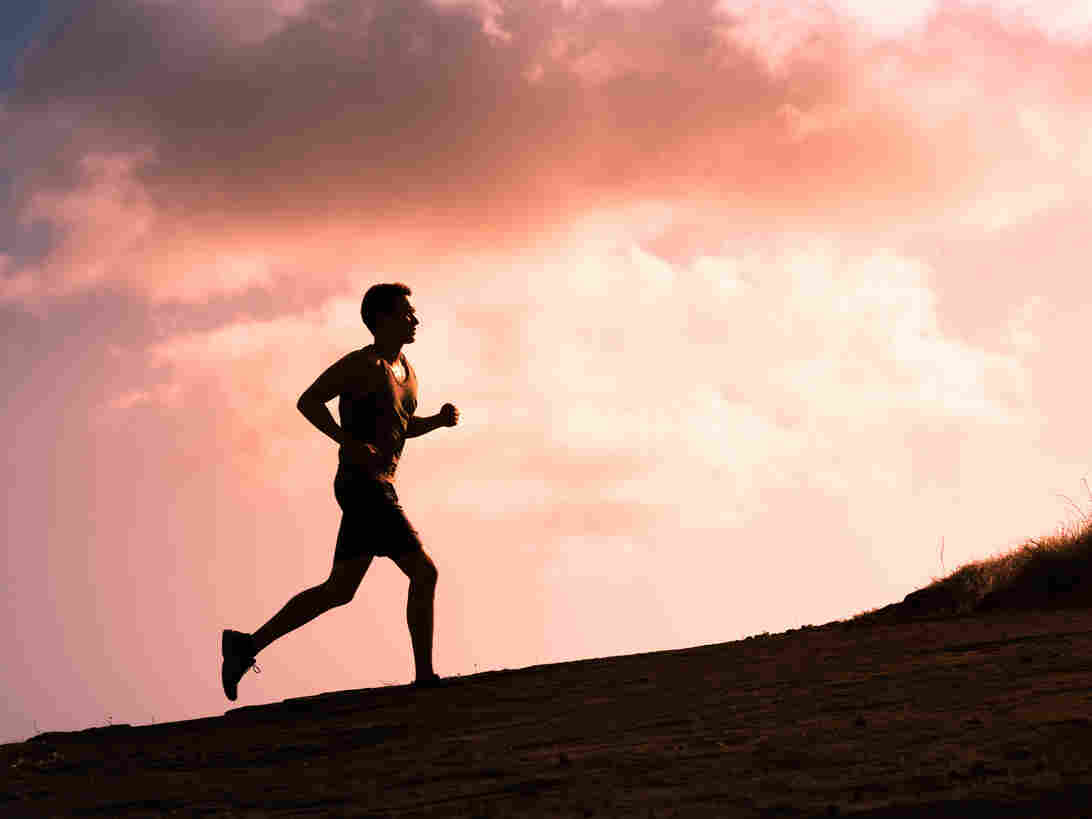 Two new studies suggest ultra running may not be so bad for your heart, says Marcelo Gleiser.