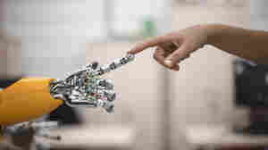 What's New In The World Of Robot Sex?