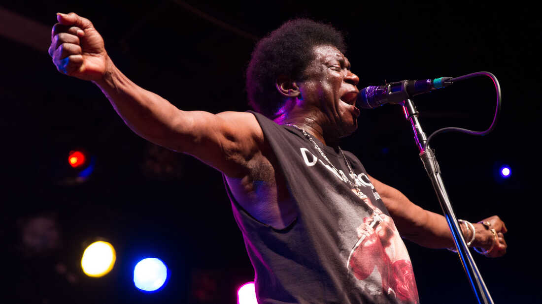 Watch Charles Bradley, Strand Of Oaks, Foxygen And More Perform Live