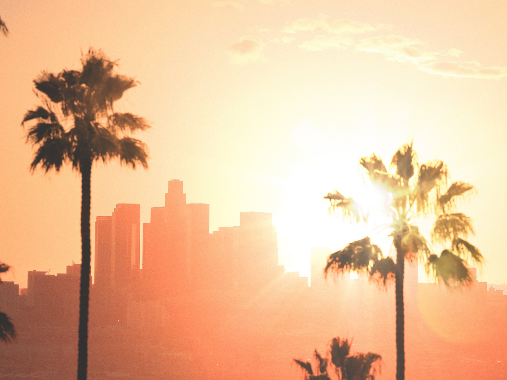 New memoir unpacks the life and tragic death of 'The Hot One'