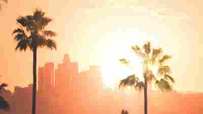 New Memoir Unpacks The Life And Tragic Death Of 'The Hot One'