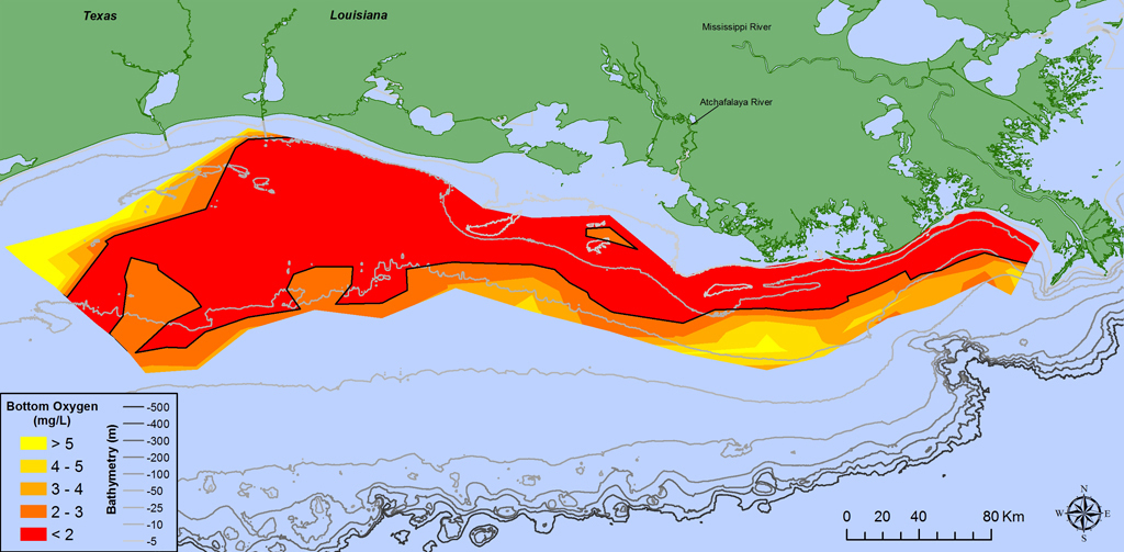 an overview of the pollution problem in the dead zone in the gulf of mexico Pbs learningmedia video for science the size of the gulf of mexico dead zone varies each year also contribute to water pollution and the hypoxia in the gulf. an overview of the pollution problem in the dead zone in the gulf of mexico Pbs learningmedia video for science the size of the gulf of mexico dead zone varies each year also contribute to water pollution and the hypoxia in the gulf.