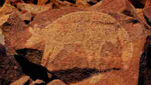 Animal Images In Prehistoric Rock Art: Looking Beyond Europe