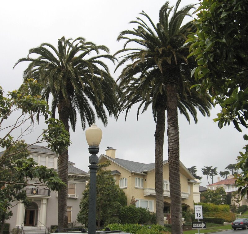 San Francisco Sales Tax 2017 >> Wealthy San Francisco Neighborhood Fails To Pay Taxes Loses Private San Francisco Sales Tax 2017 >> Wealthy San Francisco Neighborhood Fails To Pay Taxes Loses Private