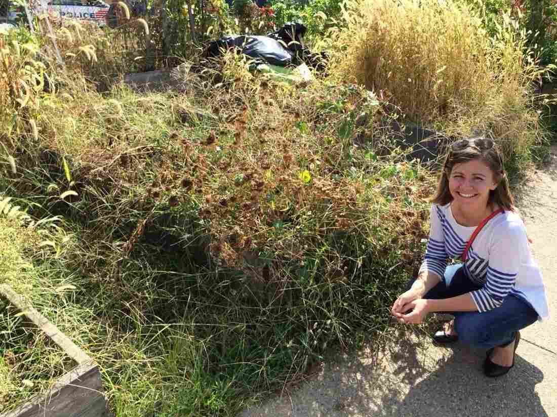 Here I am in 2015 confidently posed by the weeds I was ready to conquer.