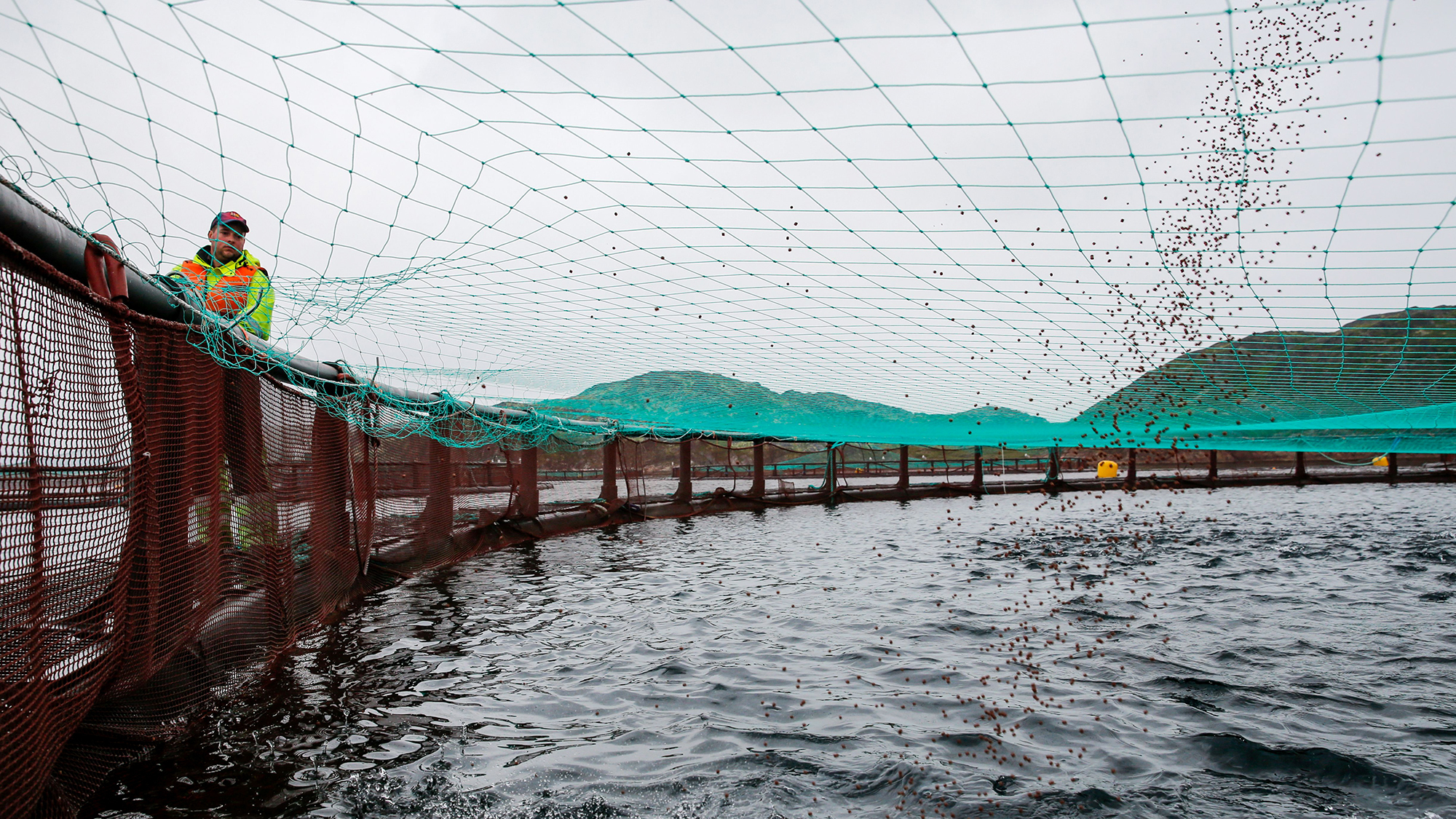 A Russian fish farming operation in Ura Bay in the Barents Sea. (AFP/Getty Images)
