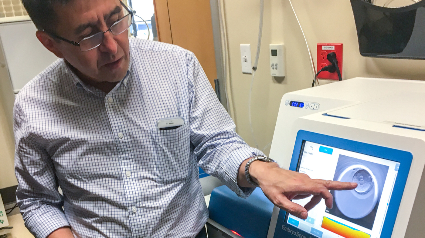 Scientists Try Gene Editing In Human Embryos : Shots - Health News : NPR