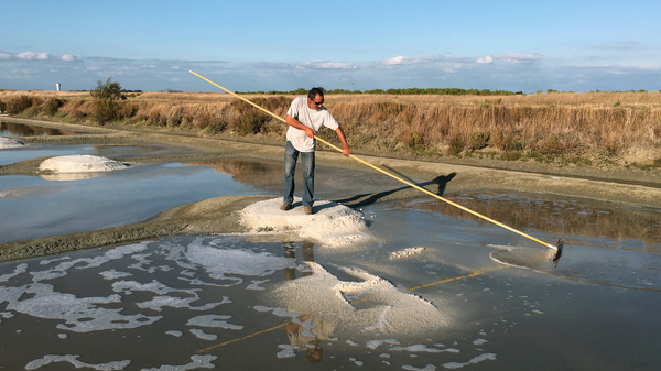 Hervé Zarka uses a tool called a simoussi to rake up salt in his marshland on the island of Noirmoutier in France. He says there are many minerals in natural sea salt, such as magnesium and potassium, that aren