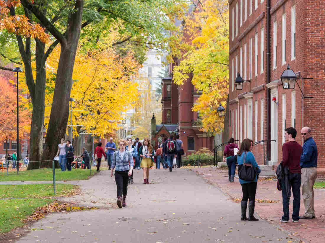 Harvard University in Cambridge, Mass., and other campuses across the country are starting to fill up with students for the new academic semester.